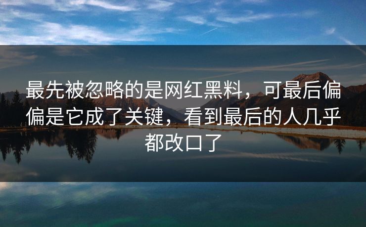 最先被忽略的是网红黑料，可最后偏偏是它成了关键，看到最后的人几乎都改口了  第1张