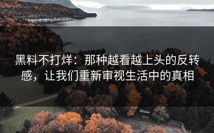 黑料不打烊：那种越看越上头的反转感，让我们重新审视生活中的真相  第1张