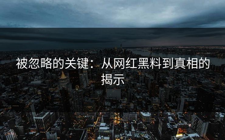 被忽略的关键：从网红黑料到真相的揭示  第1张