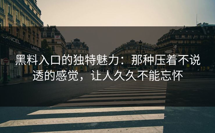 黑料入口的独特魅力：那种压着不说透的感觉，让人久久不能忘怀  第1张